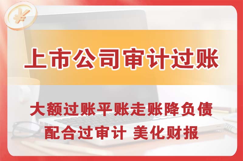 海珠上市公司审计过账
